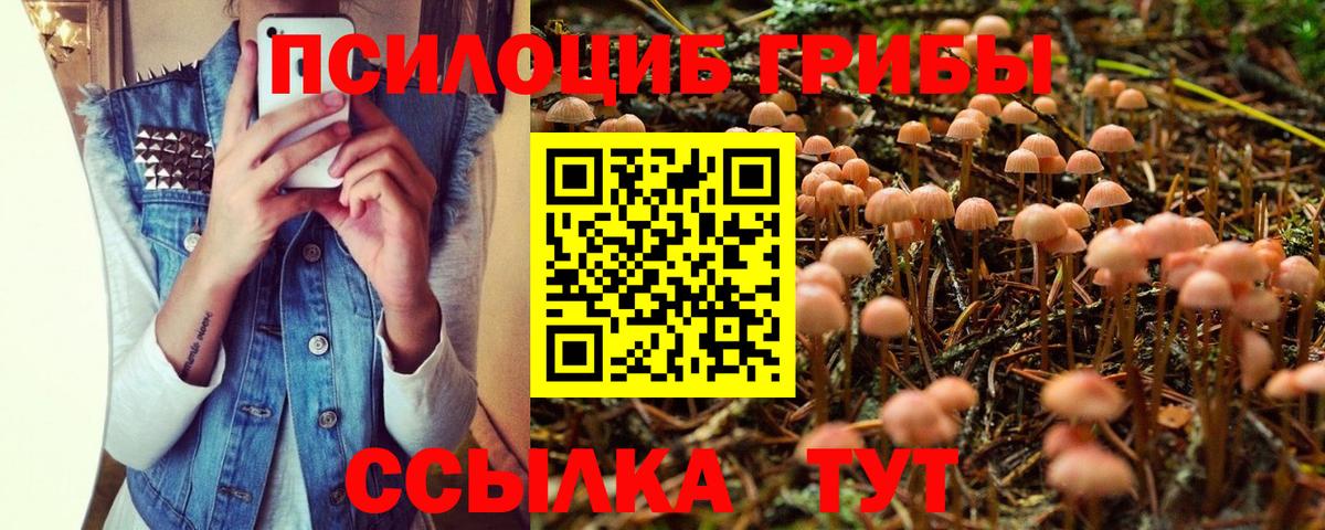 Галлюциногенные грибы мицелий  Вход с VPN  Псилоцибиновые грибы MAGIC MUSHROOMS  Можайск 